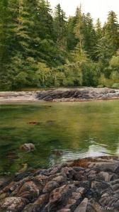 Green Water (a tiny 4 x 2.5 inches small)