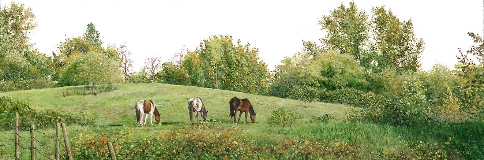 Horses in the Field (1.75 x 5.25 inches)