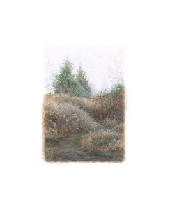 Winter (1.5 x 1 inch)