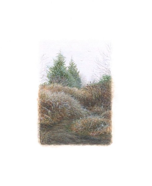 Winter (1.5 x 1 inch)