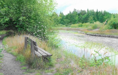 A Good Place to Sit (2.25 x 3.5 inches)